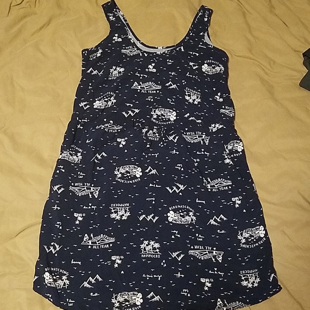 Gap Dress with pockets